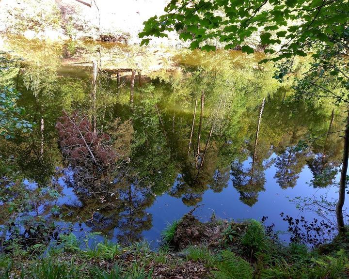 Forsthaus Zur Isenach